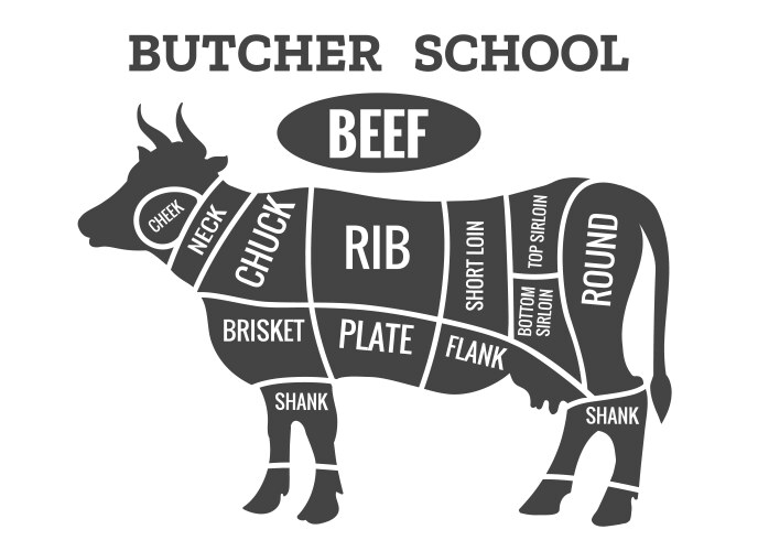 Cow butcher diagram vector image