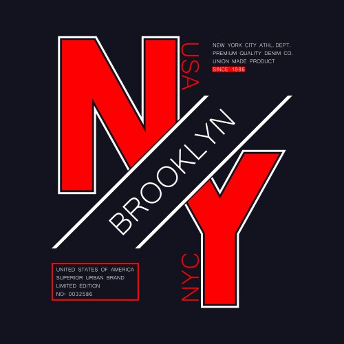 brooklyn ny modern typography vector image