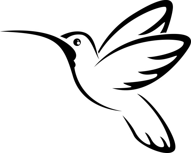 Tattoo hummingbird for you design vector image