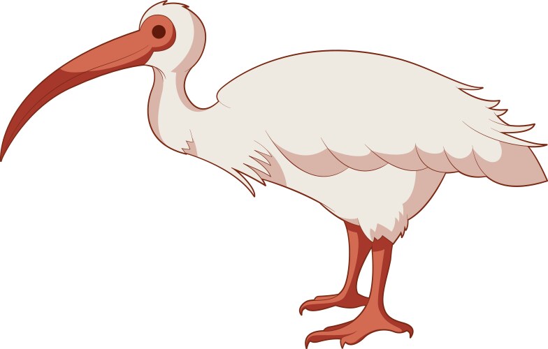 cartoon smiling ibis vector image