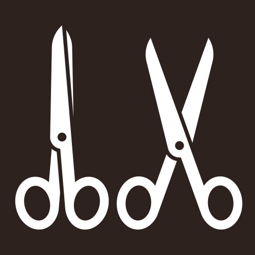 open and closed scissors vector image