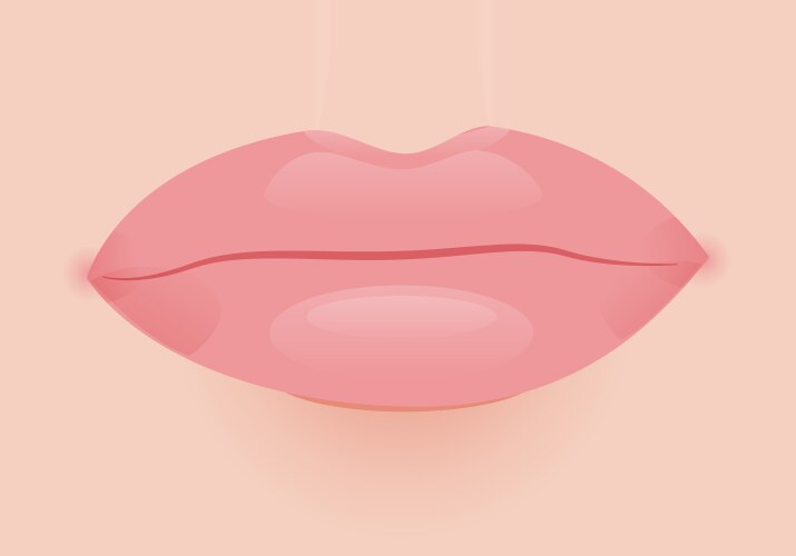 glamour lip icon vector image