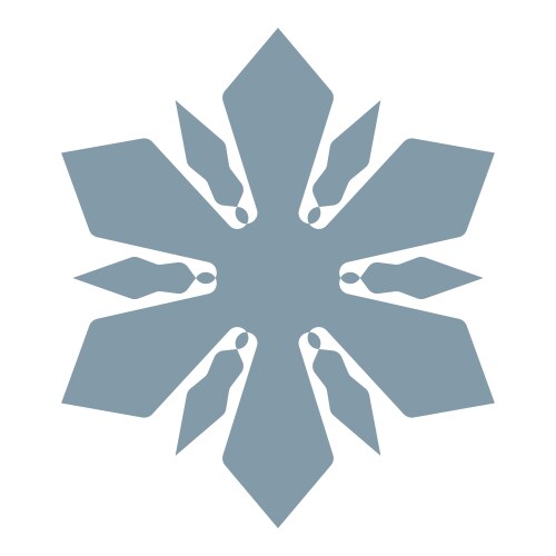 Simple snowflake element vector image