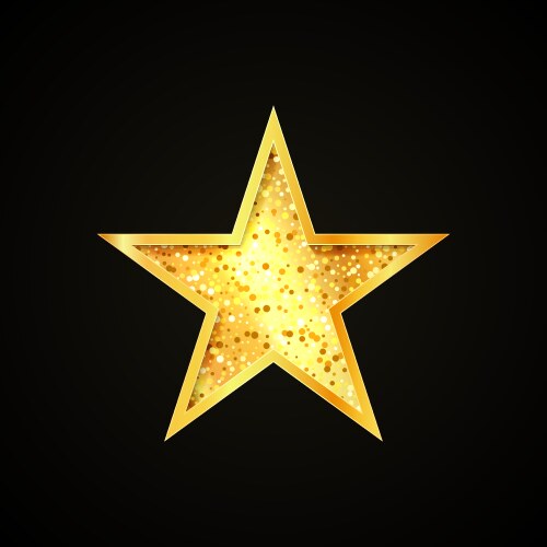 gold star icon single design decorative element vector image