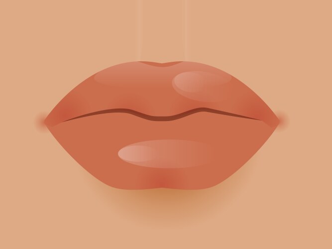 glamour lip icon vector image