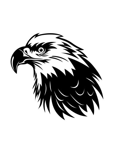 Eagle face sign vector image