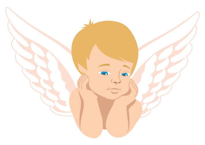 Cupid vector image