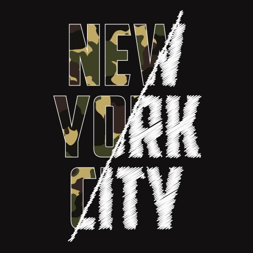 Nyc camo print vector image