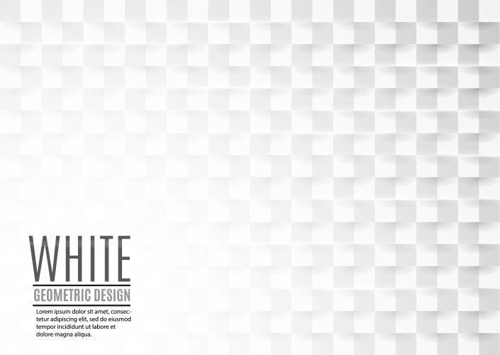 Beautiful white abstract texture vector image