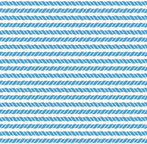 Ropes seamless pattern vector image