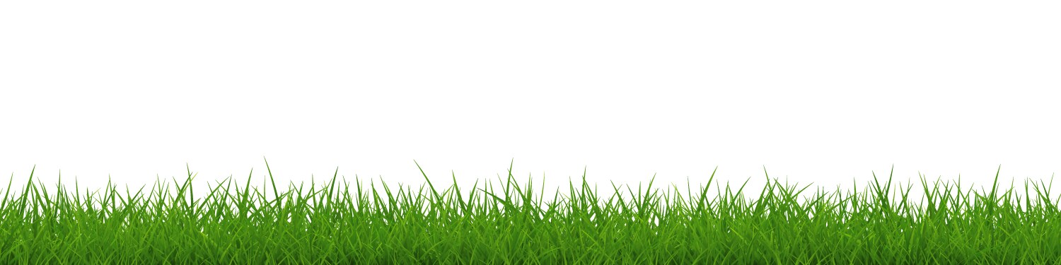 Green grass very wide repeat border isolated vector image