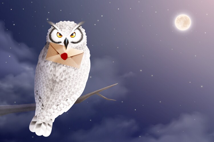 Owl with letter composition vector image