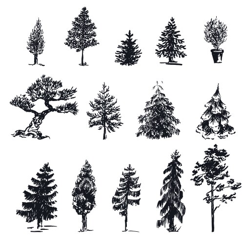 Sketch trees 1 vector image