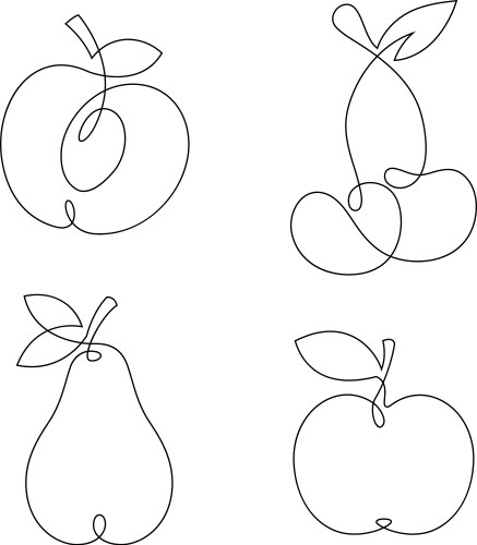 one line continuous fruits vector image