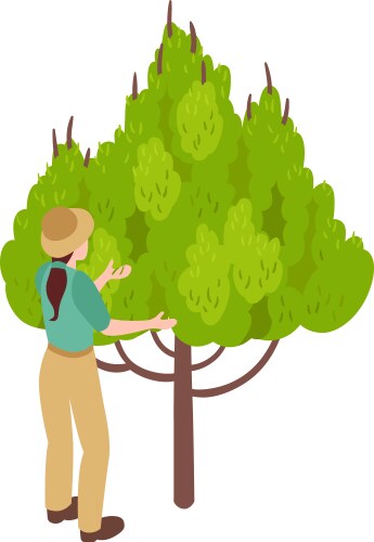 Gardener growing tree composition vector image