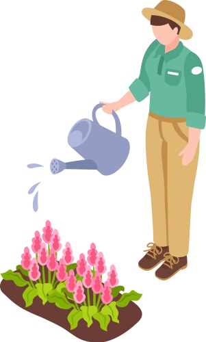 gardener watering flowers composition vector image