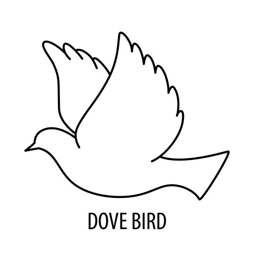 dove bird icon vector image