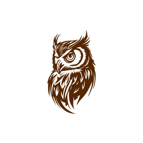 Owl bird animal wild design vector image