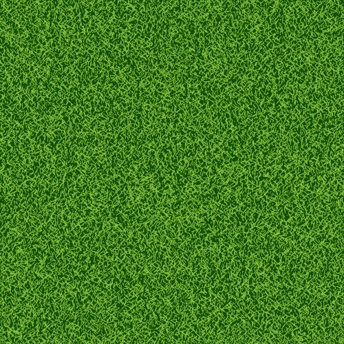 Green grass seamless texture - summer background vector image