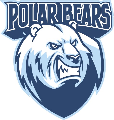 Polar bear head mascot vector image