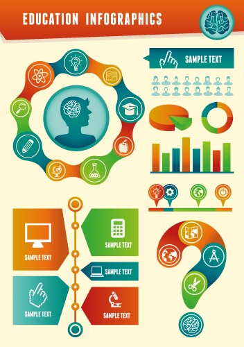 Education infographics vector image