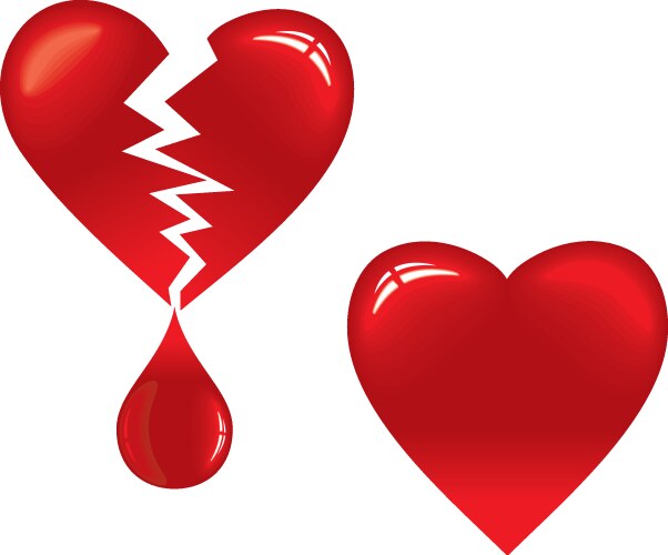 Broken heart vector image