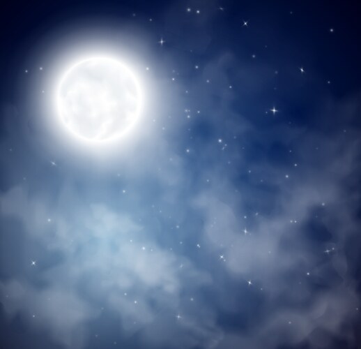 Night sky background vector image