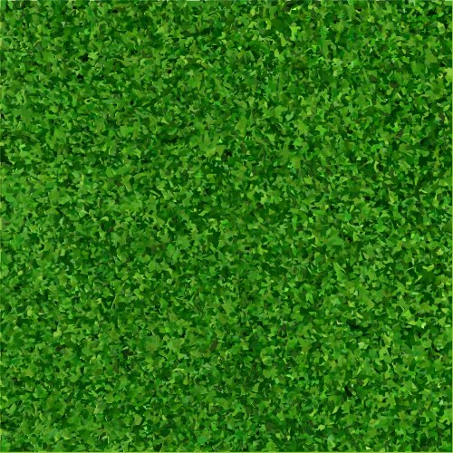 Green grass vector image