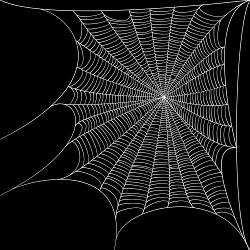 Cobweb background vector image