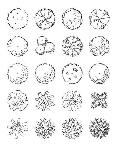 Hand drawn set of top view tree vector image