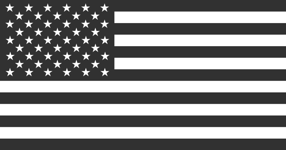 Black american flag stock isolated on white vector image