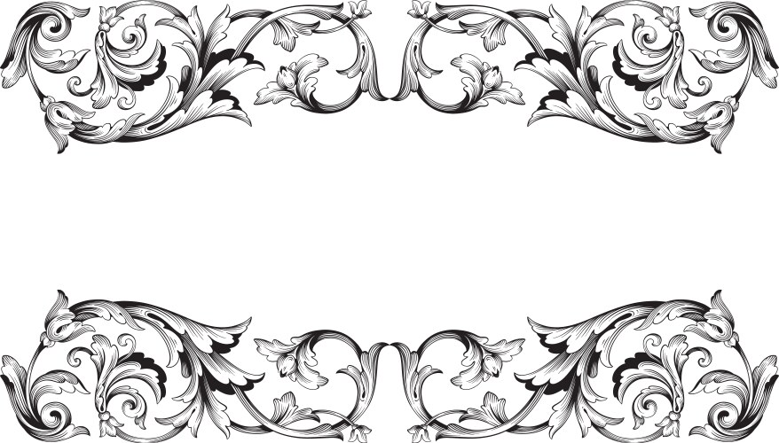 classical baroque ornament vector image