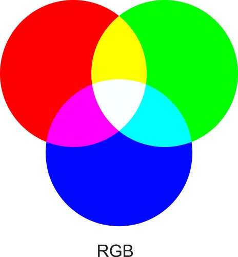 Rgb color chart vector image