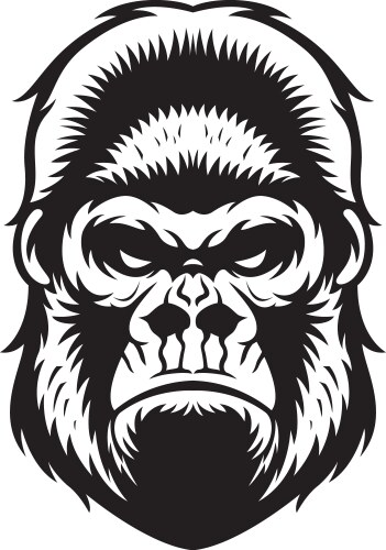 Gorilla head bw vector image