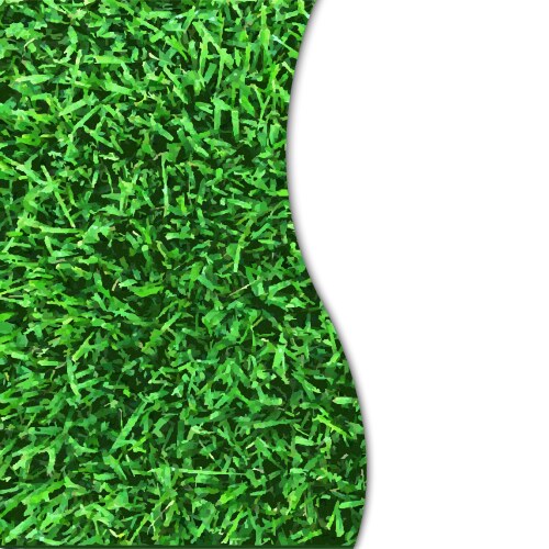 Grass texture poster vector image