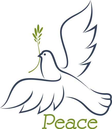 dove of peace with green olive vector image