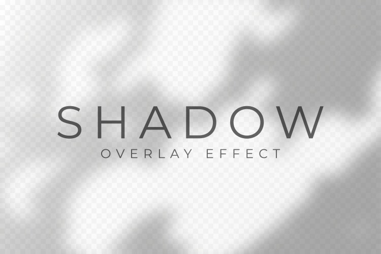 Shadow overlay effect transparent soft light vector image