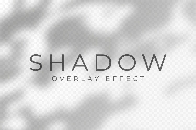 Shadow overlay effect transparent soft light vector image