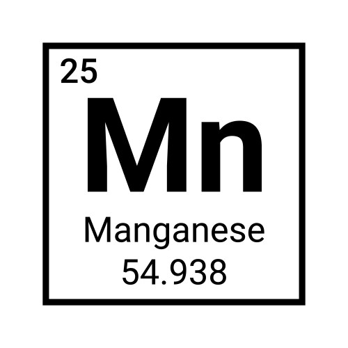 Manganese element chemical icon chemistry symbol vector image