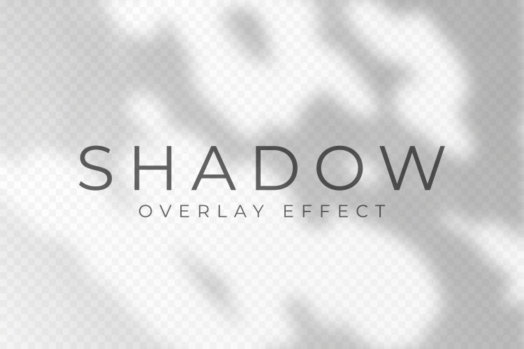 Shadow overlay effect transparent soft light vector image