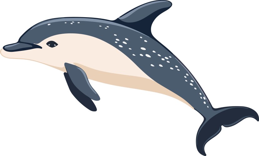 Graceful dolphin leap vector image