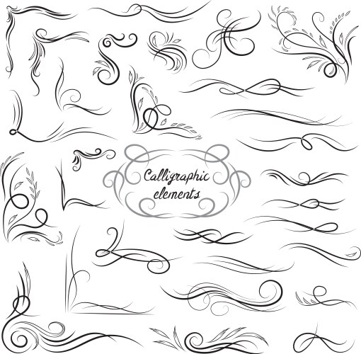 Elegant calligraphic corners and vignettes vector image