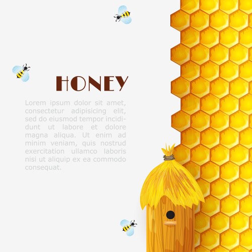 Honey beehive background vector image