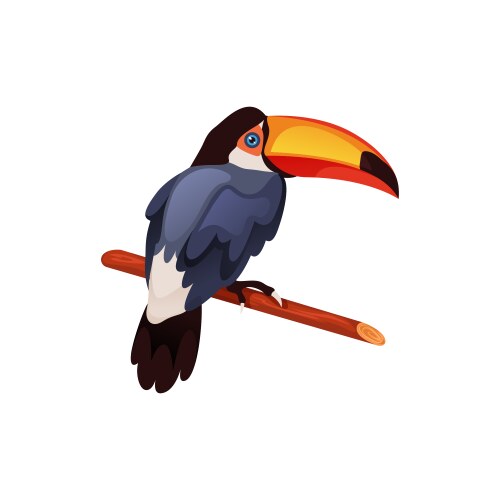 Toco toucan bird icon or clipart vector image