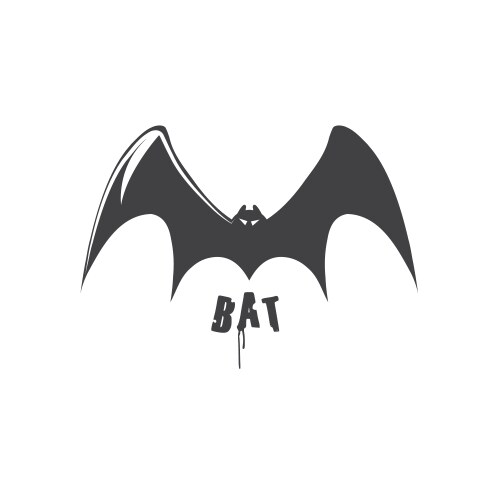 Bat design template vector image