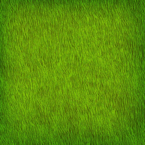 Green grass texture vector image