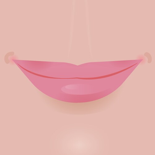 glamour lip icon vector image