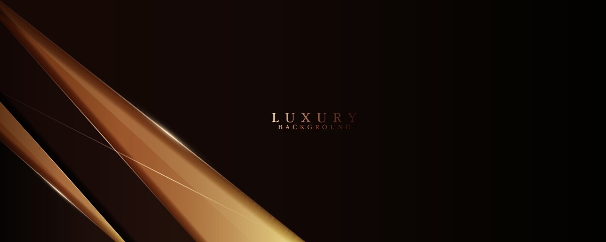 Abstract dark and gold luxury background modern vector image