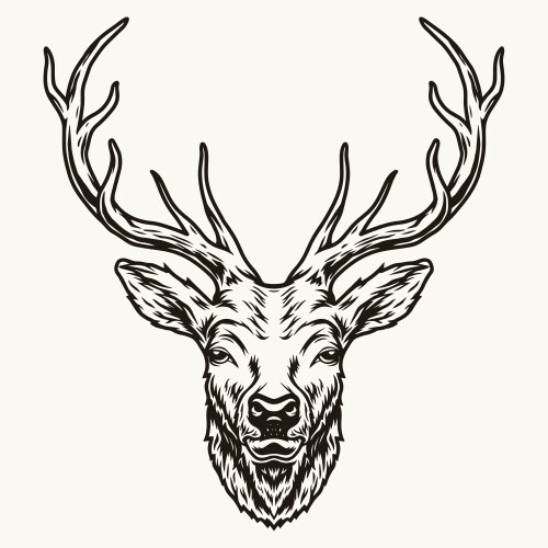 Deer head with elegant horns template vector image