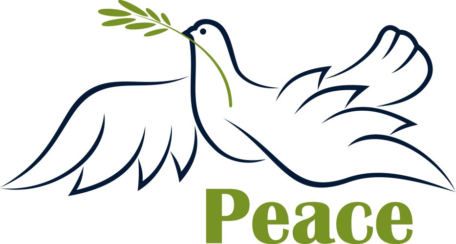 flying dove with olive branch vector image